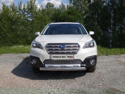 Защита передняя овальная 75х42 мм ТСС для Subaru Outback 2015-2021