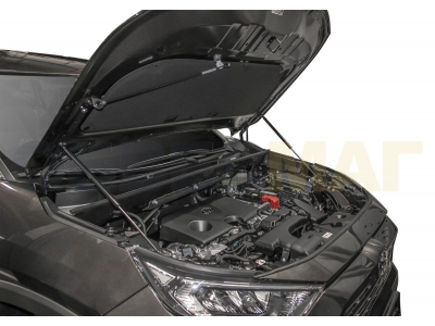 Амортизаторы капота Автоупор, 2 шт. для Toyota RAV4 2019-2021