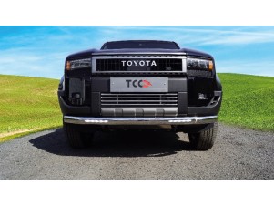 Защита передняя нижняя (овальная с ДХО) 75х42 мм для Toyota Land Cruiser 250 Prado 2024-н.в. №TOYLC25024-13